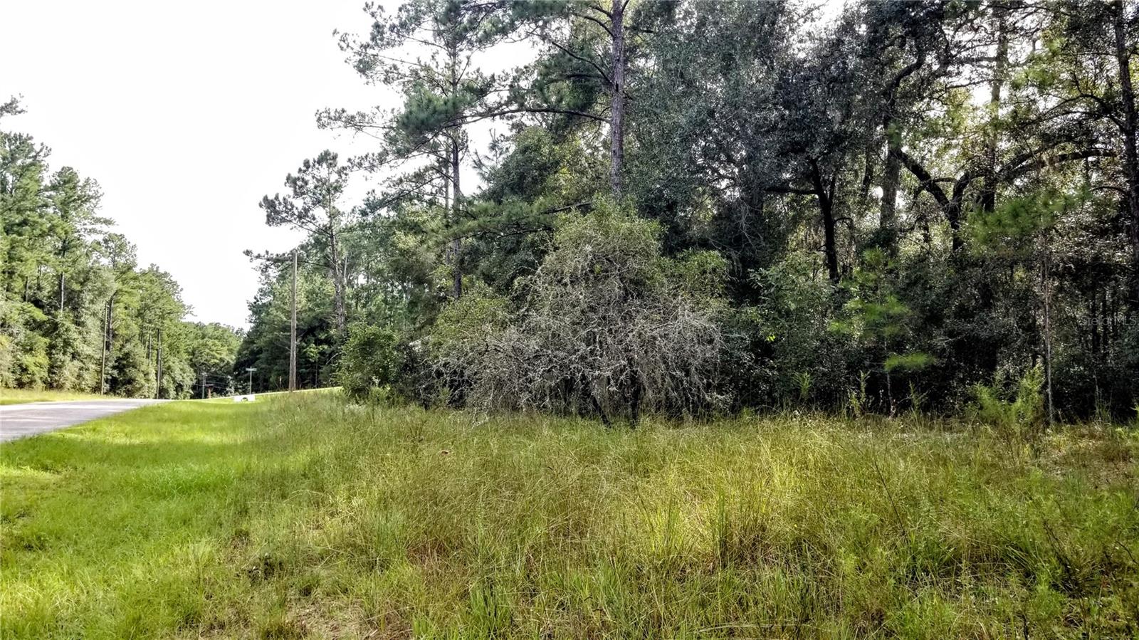 8844 N LILY DR, CITRUS SPRINGS, FL, 34434