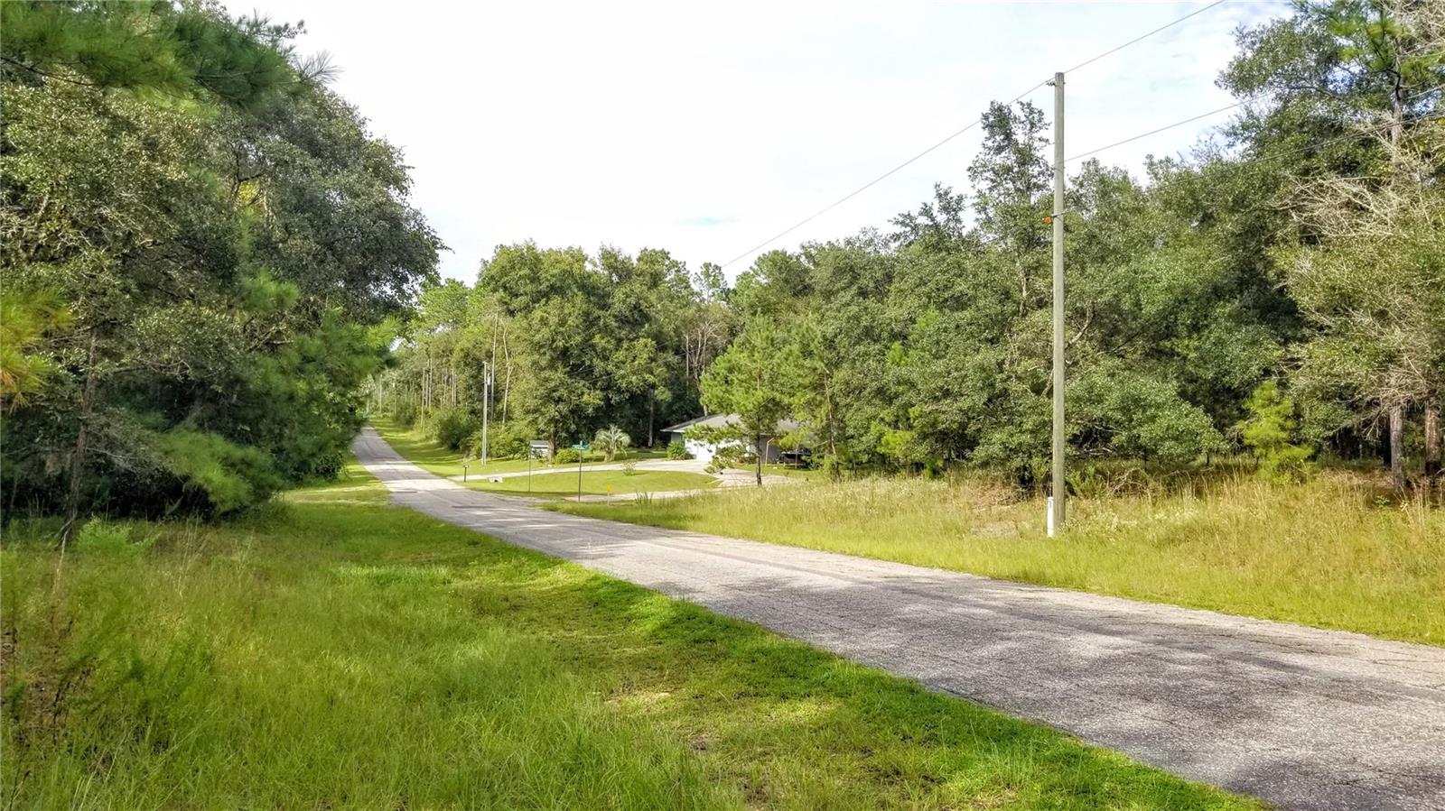 8844 N LILY DR, CITRUS SPRINGS, FL, 34434