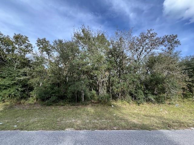 TBD SW 146TH LANE RD, OCALA, FL, 34473