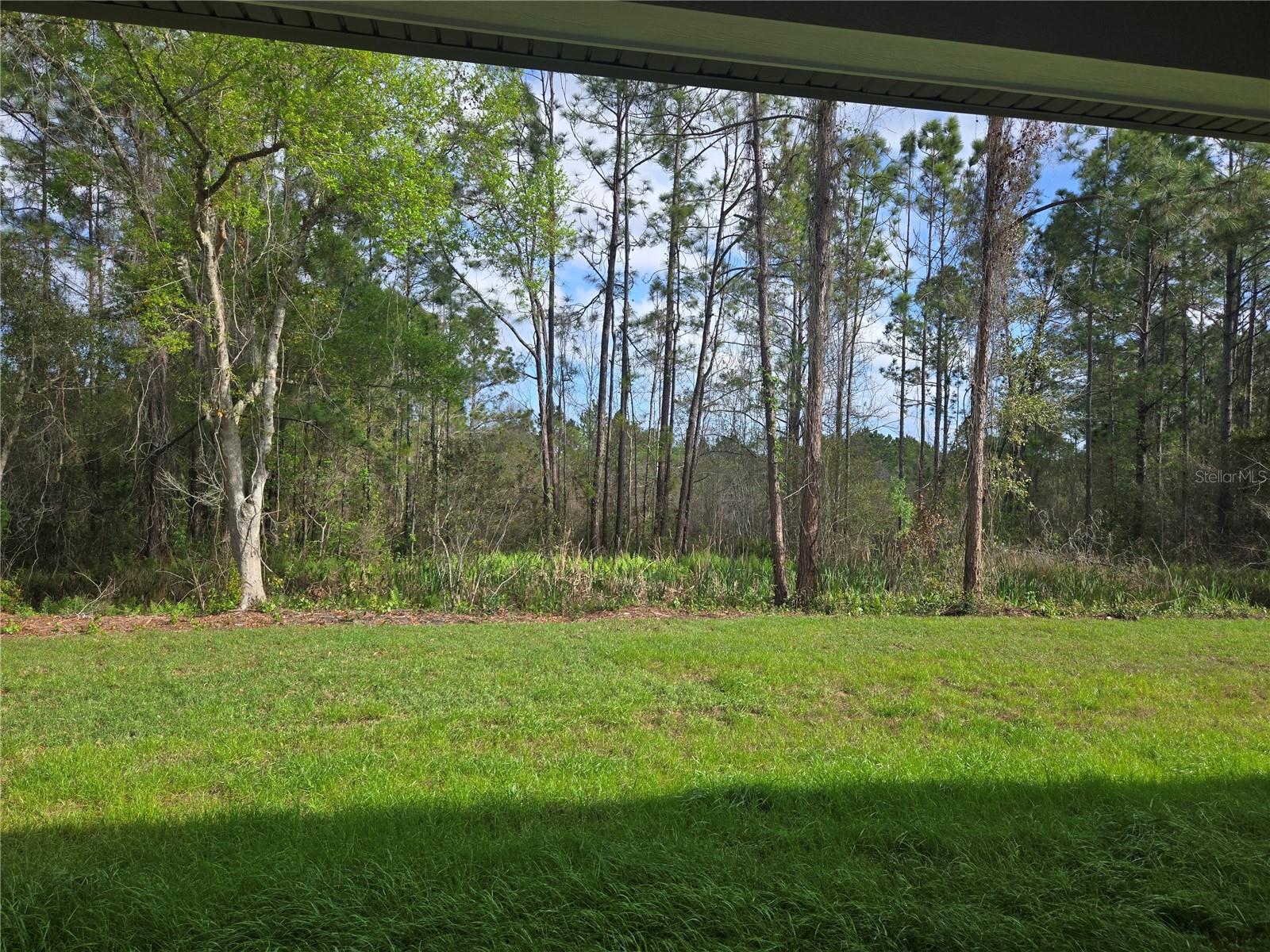 405 LONG AND WINDING RD, HOWEY IN THE HILLS, FL, 34737