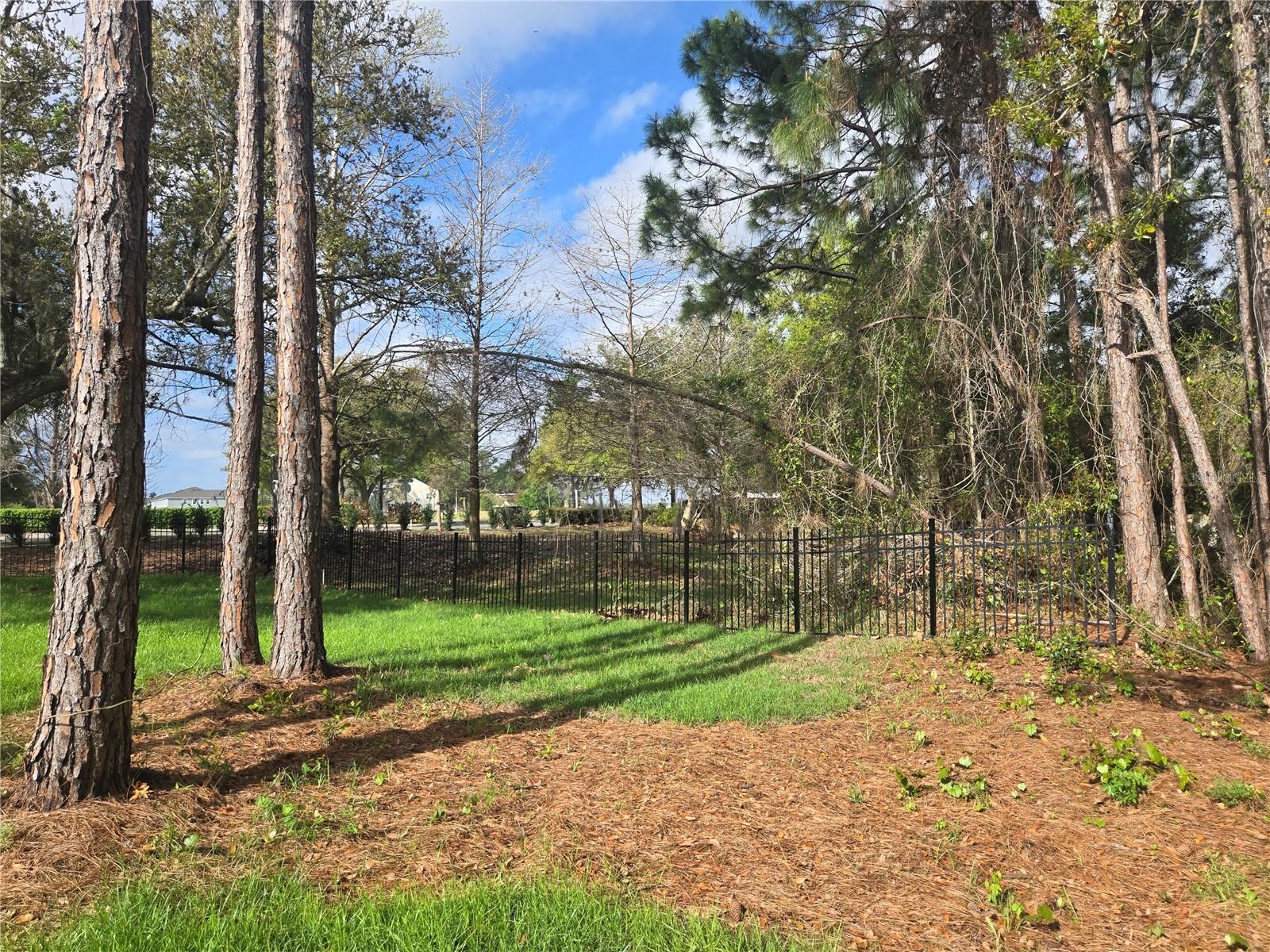 405 LONG AND WINDING RD, HOWEY IN THE HILLS, FL, 34737