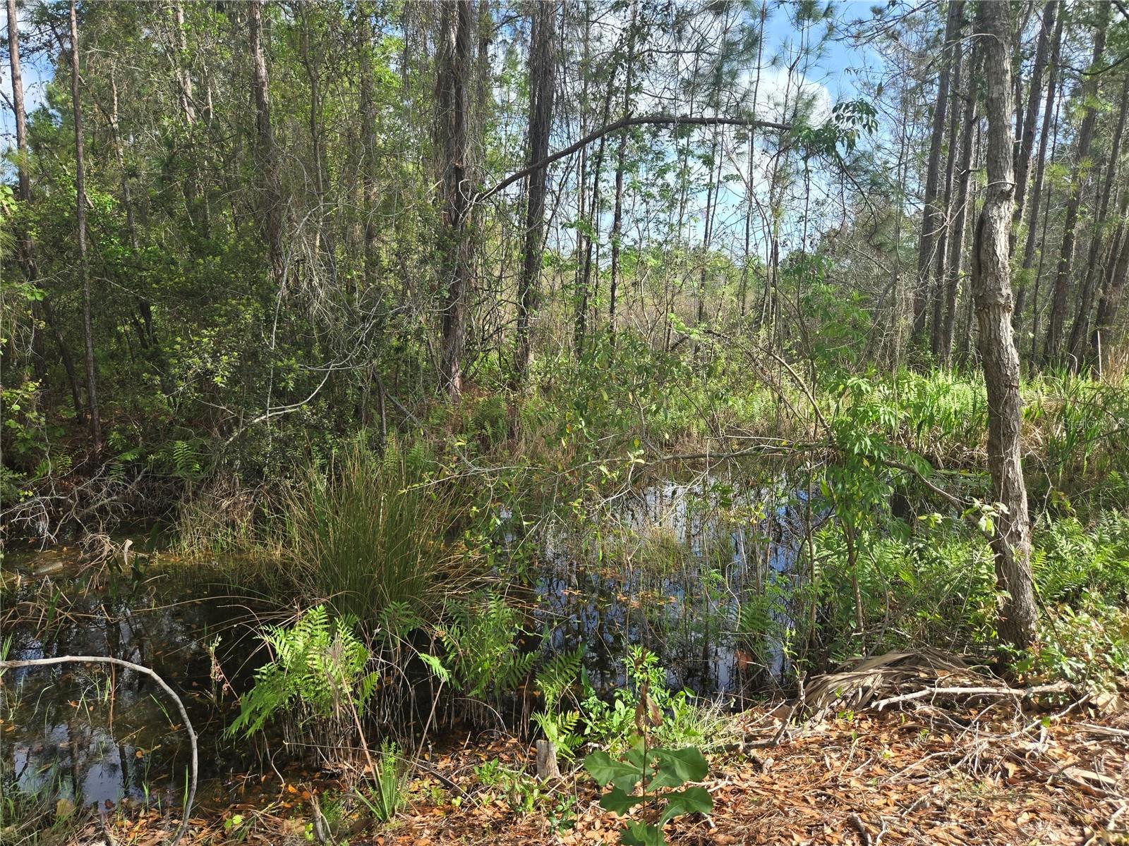 405 LONG AND WINDING RD, HOWEY IN THE HILLS, FL, 34737