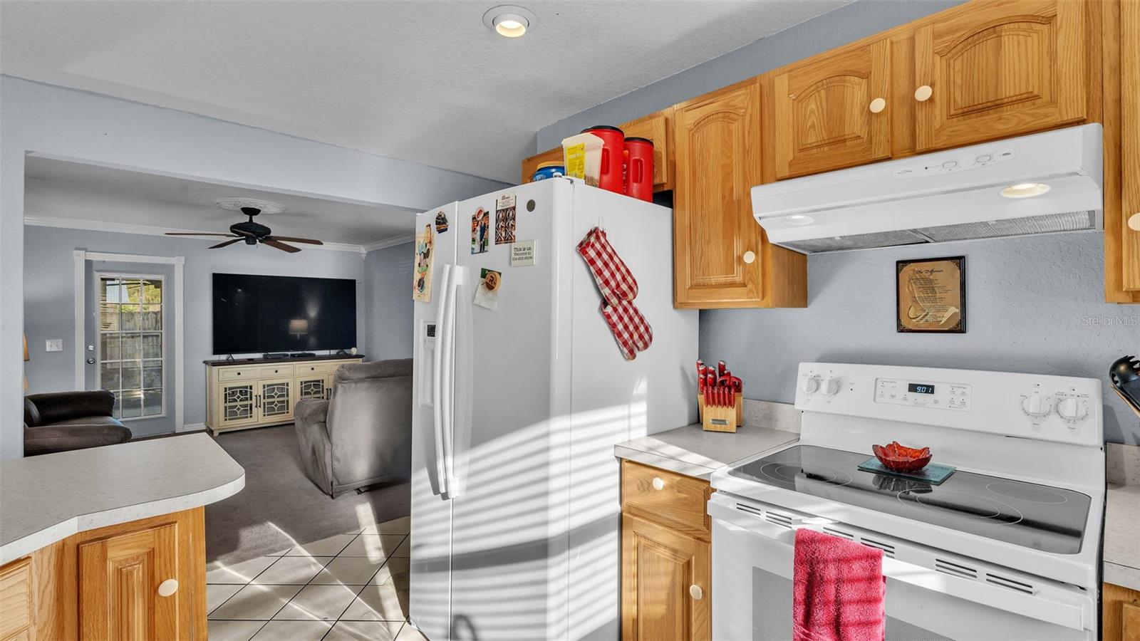 4390 SUNNYSIDE DR, LAKELAND, FL, 33810