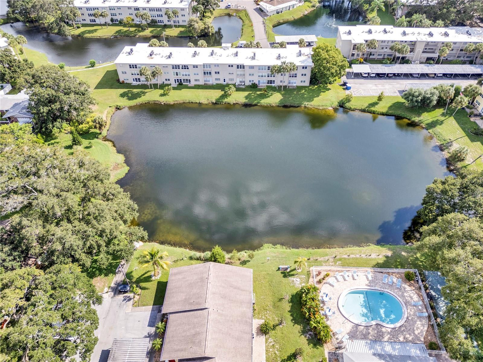 862 DE SOTO CT #862, DUNEDIN, FL, 34698