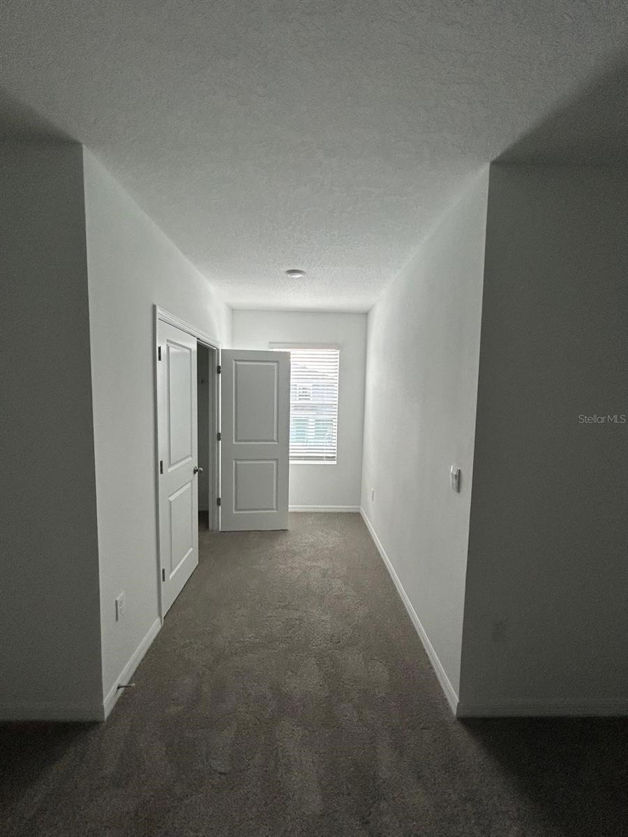 16620 GROTTO STEAM PL, WIMAUMA, FL, 33598