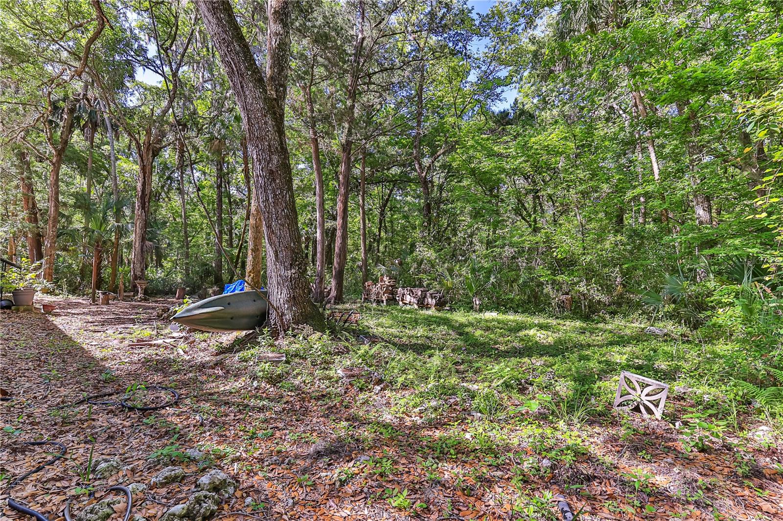 292 S DEW PLANT PT, CRYSTAL RIVER, FL, 34429