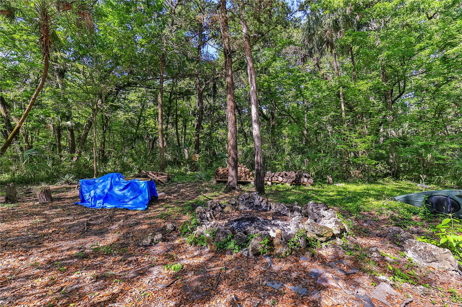 292 S DEW PLANT PT, CRYSTAL RIVER, FL, 34429