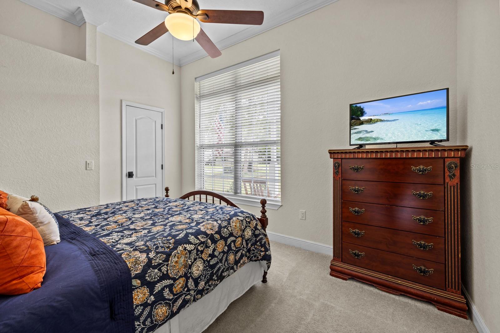 33117 WINDY OAK ST, SORRENTO, FL, 32776