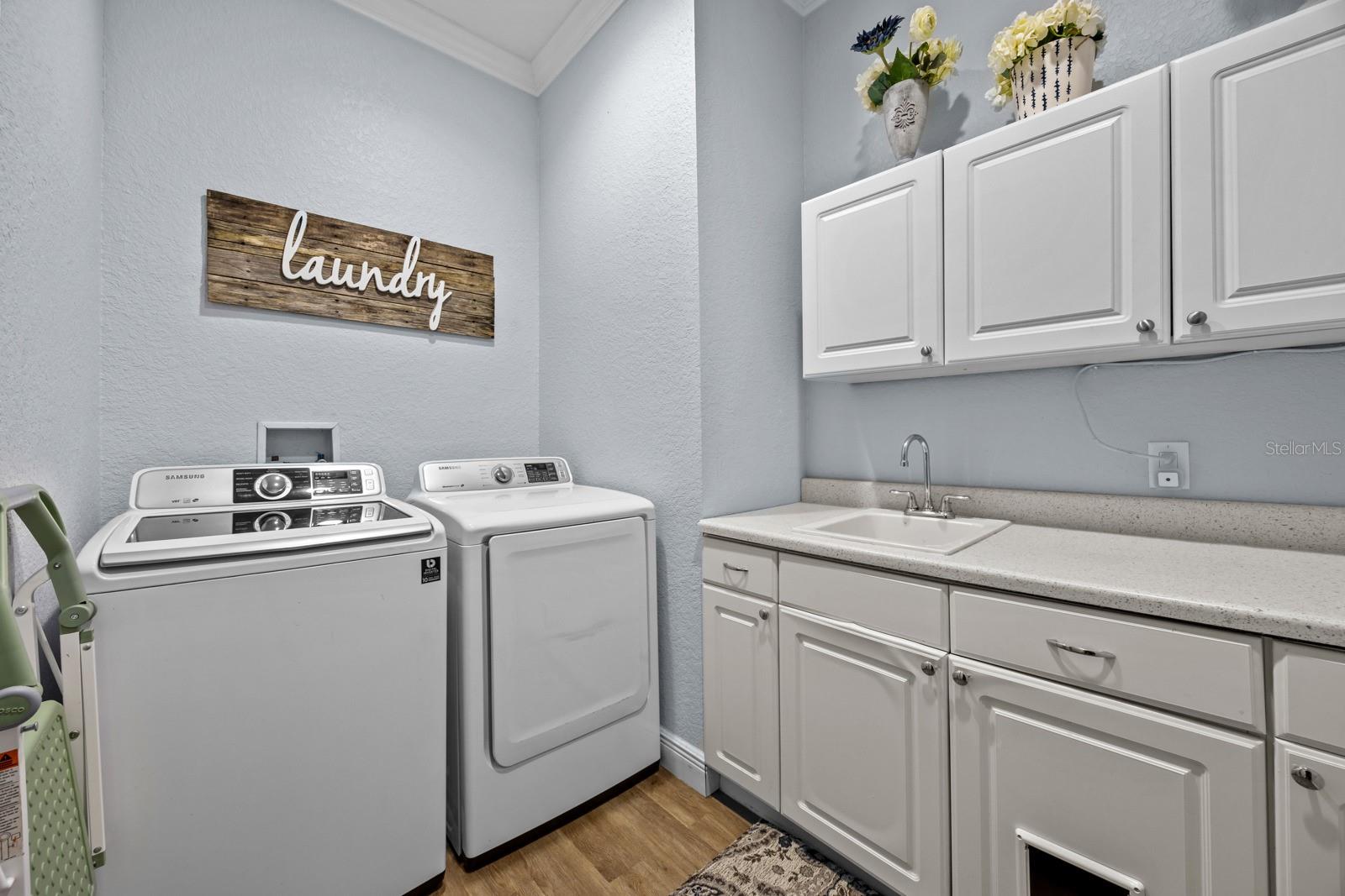 33117 WINDY OAK ST, SORRENTO, FL, 32776