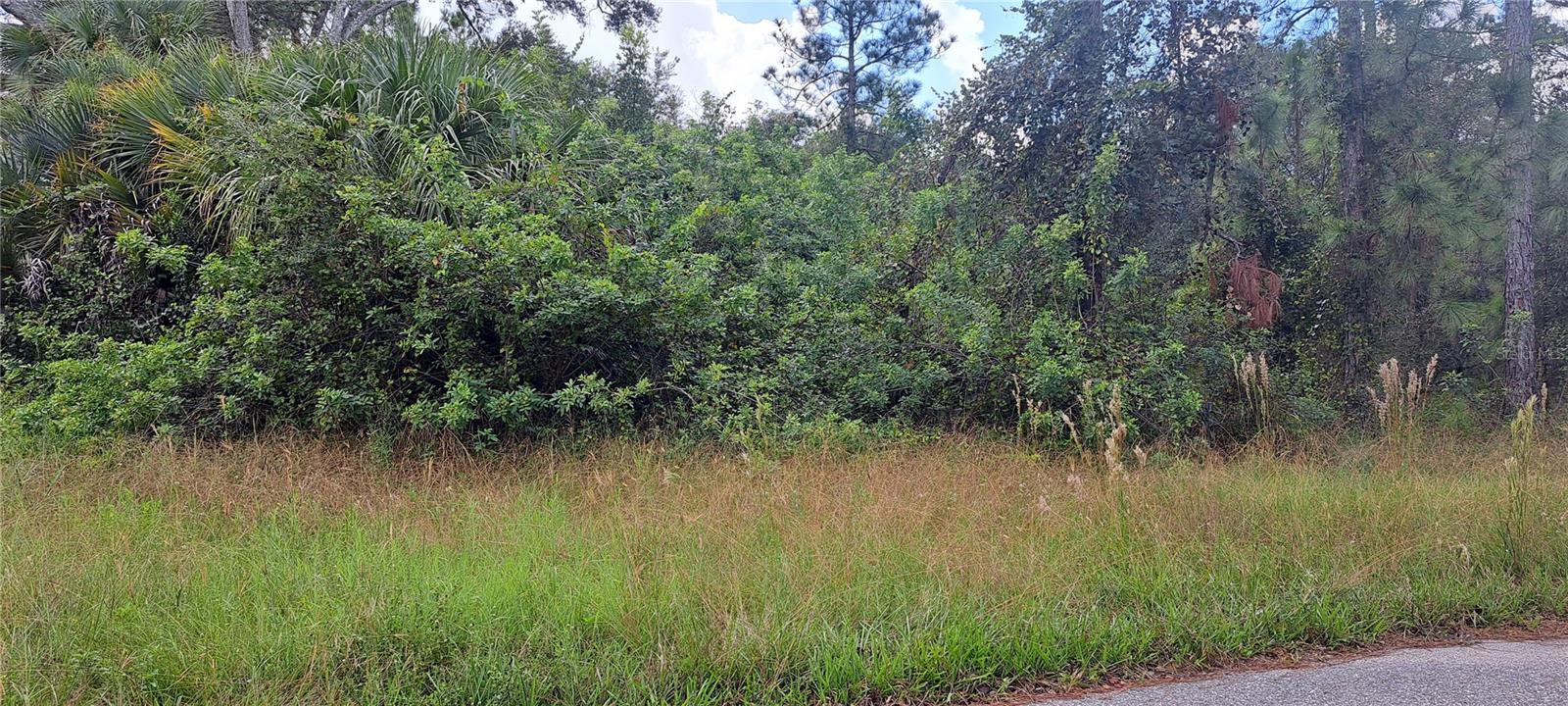 3806 E 13TH ST, LEHIGH ACRES, FL, 33972