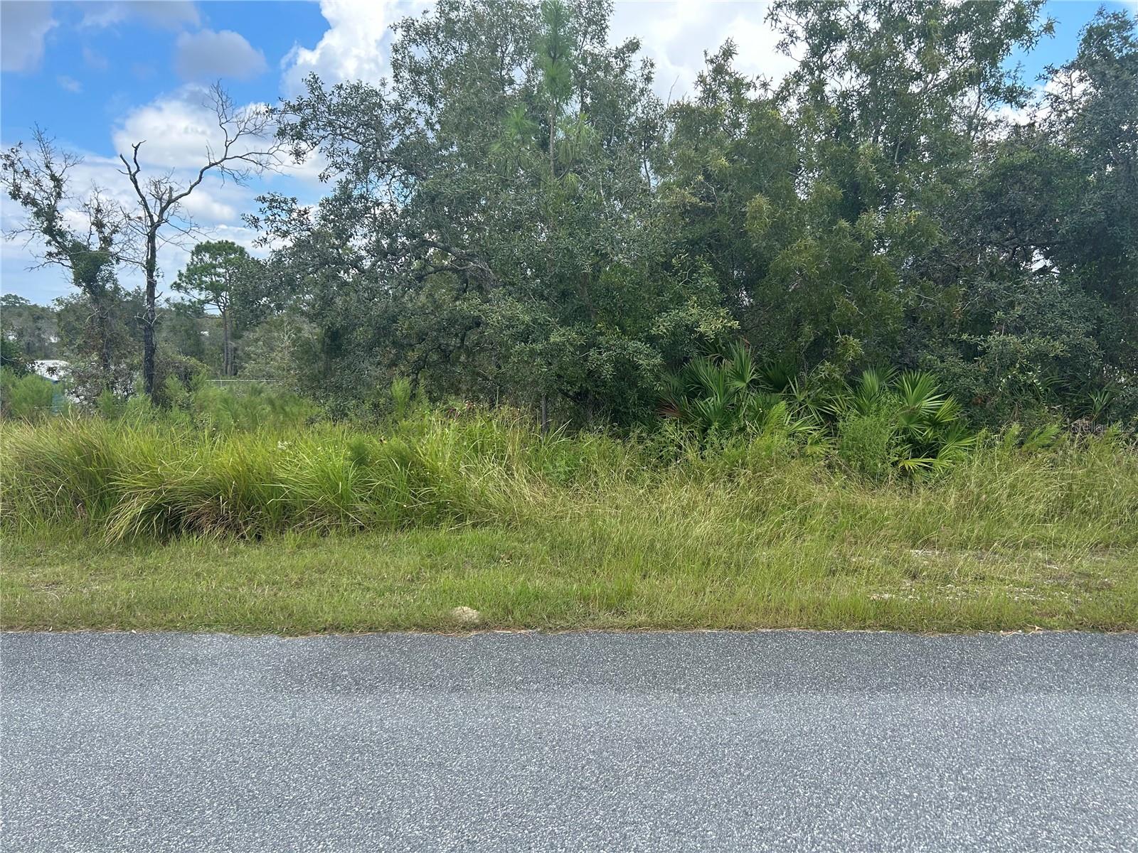 13035 HOUSE FINCH RD, WEEKI WACHEE, FL, 34614