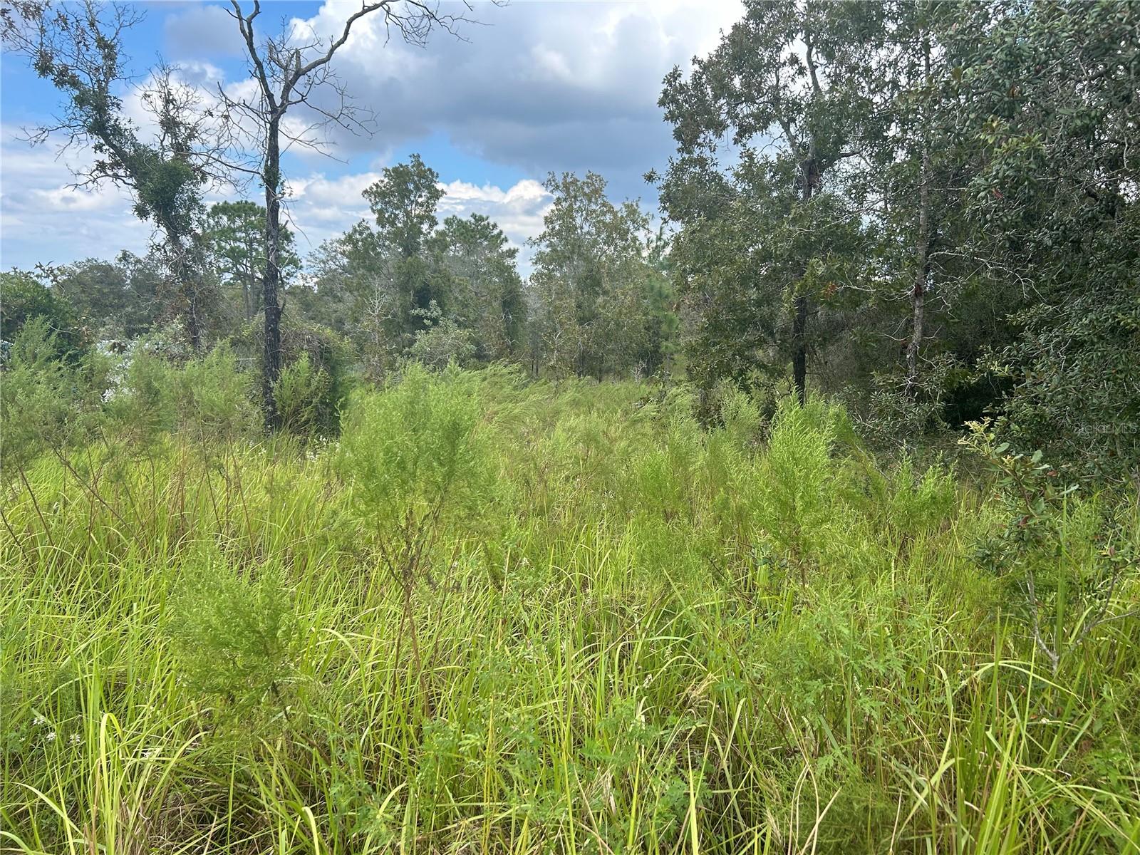 13035 HOUSE FINCH RD, WEEKI WACHEE, FL, 34614