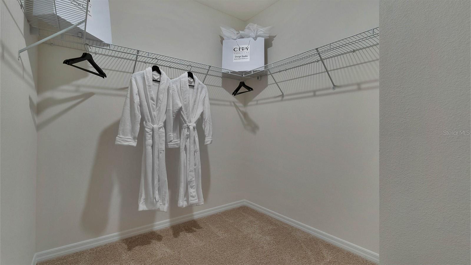1189 ALSTONIA LN, MOUNT DORA, FL, 32757