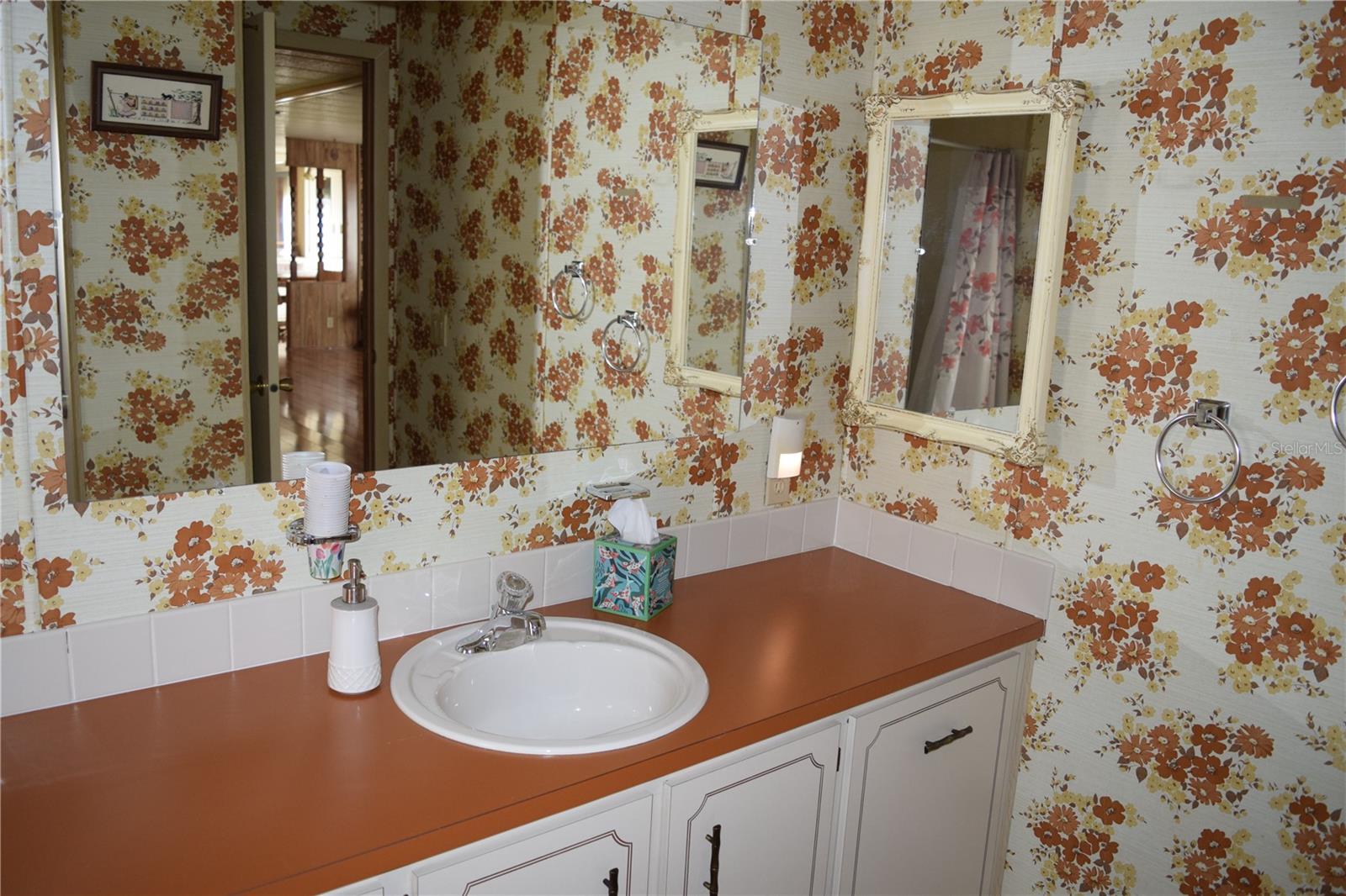 107 PINEBARK DR, PALM HARBOR, FL, 34684