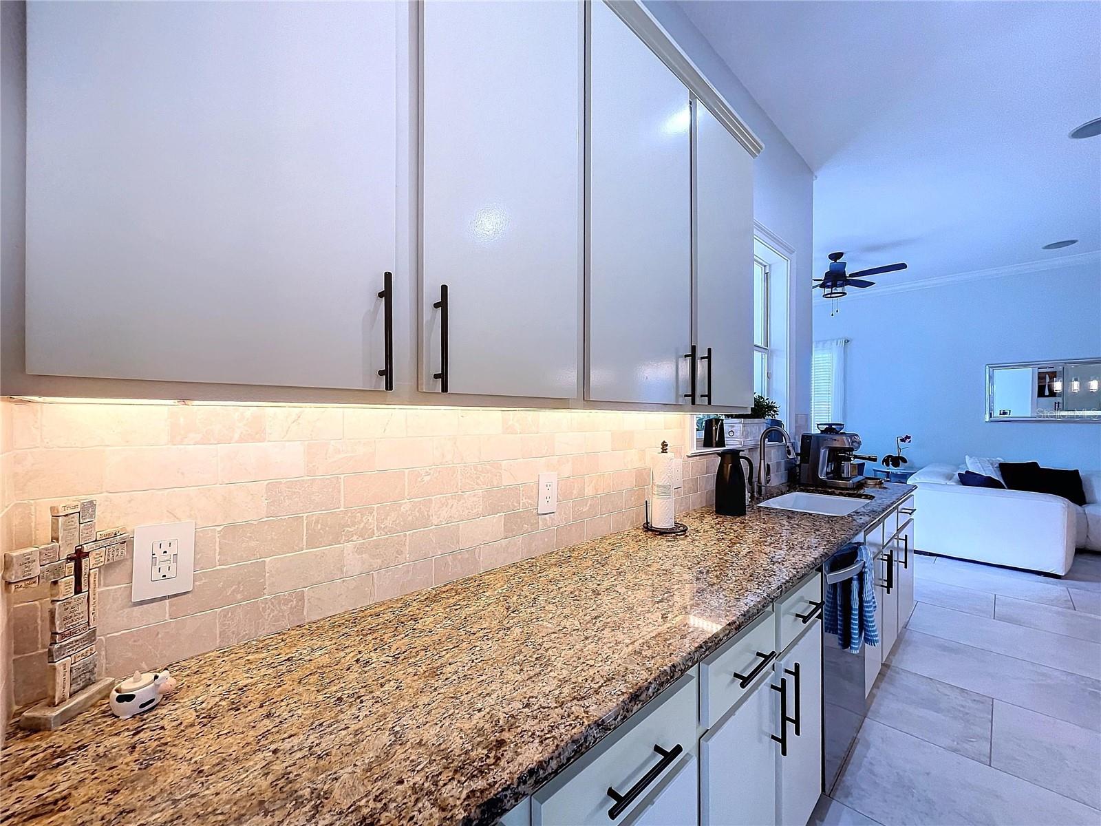 6564 SIMONE SHORES CIR, APOLLO BEACH, FL, 33572