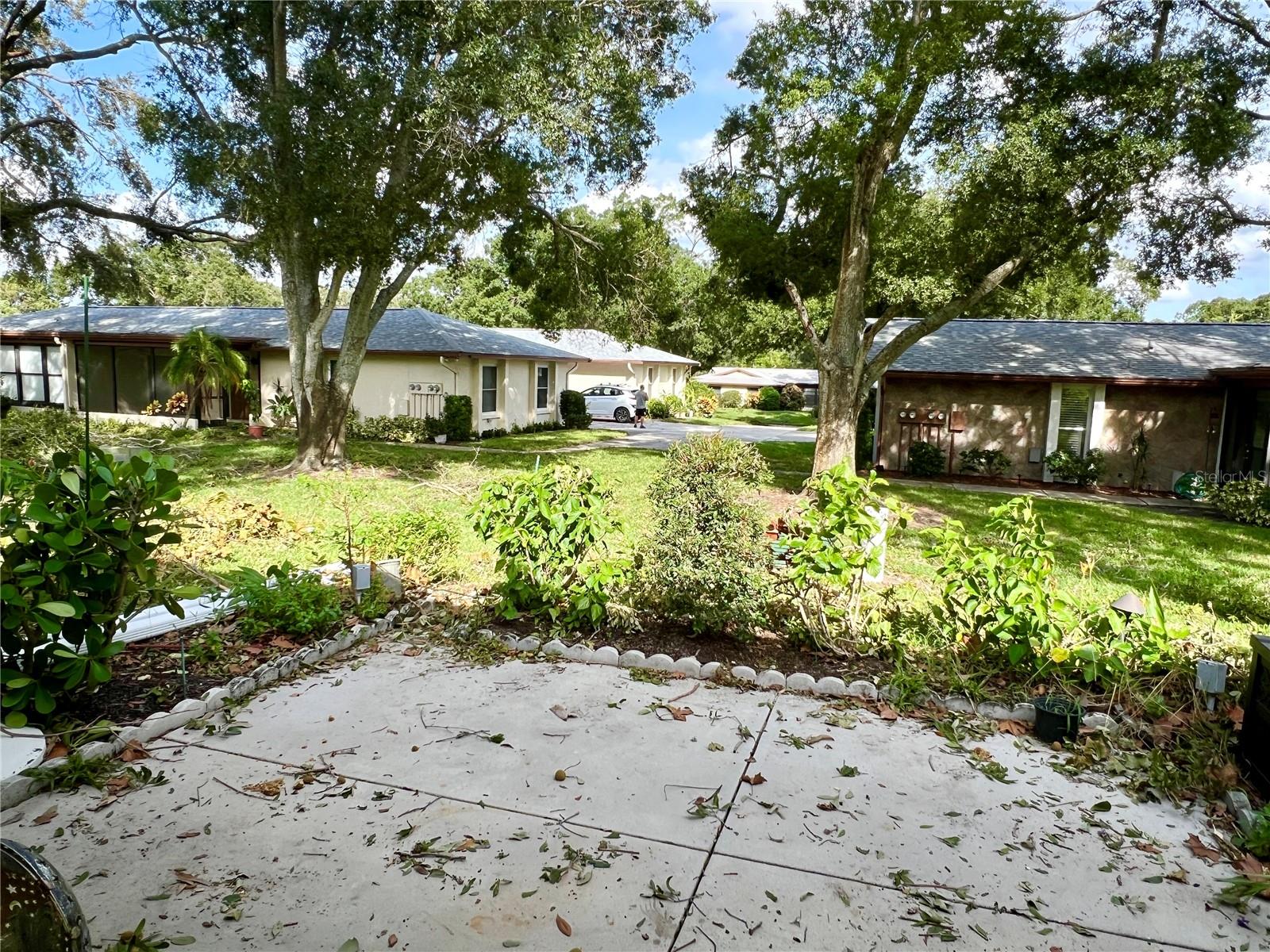 2231 LARK CIR E #C, PALM HARBOR, FL, 34684