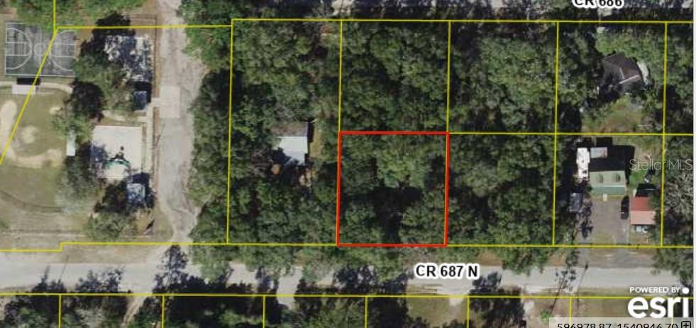 Lot #8 CR 687 N, WEBSTER, FL, 33597