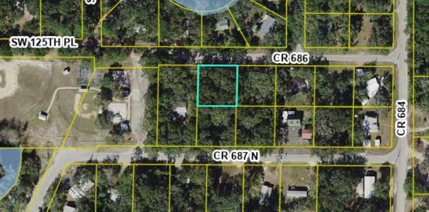 Lot #5 CR 687 N, WEBSTER, FL, 33597