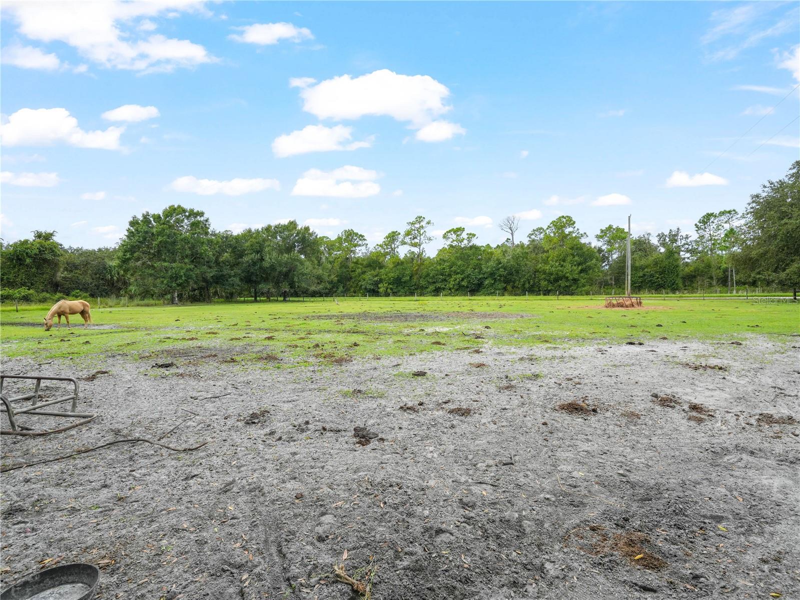 4485 MURPHY RD, ONA, FL, 33865