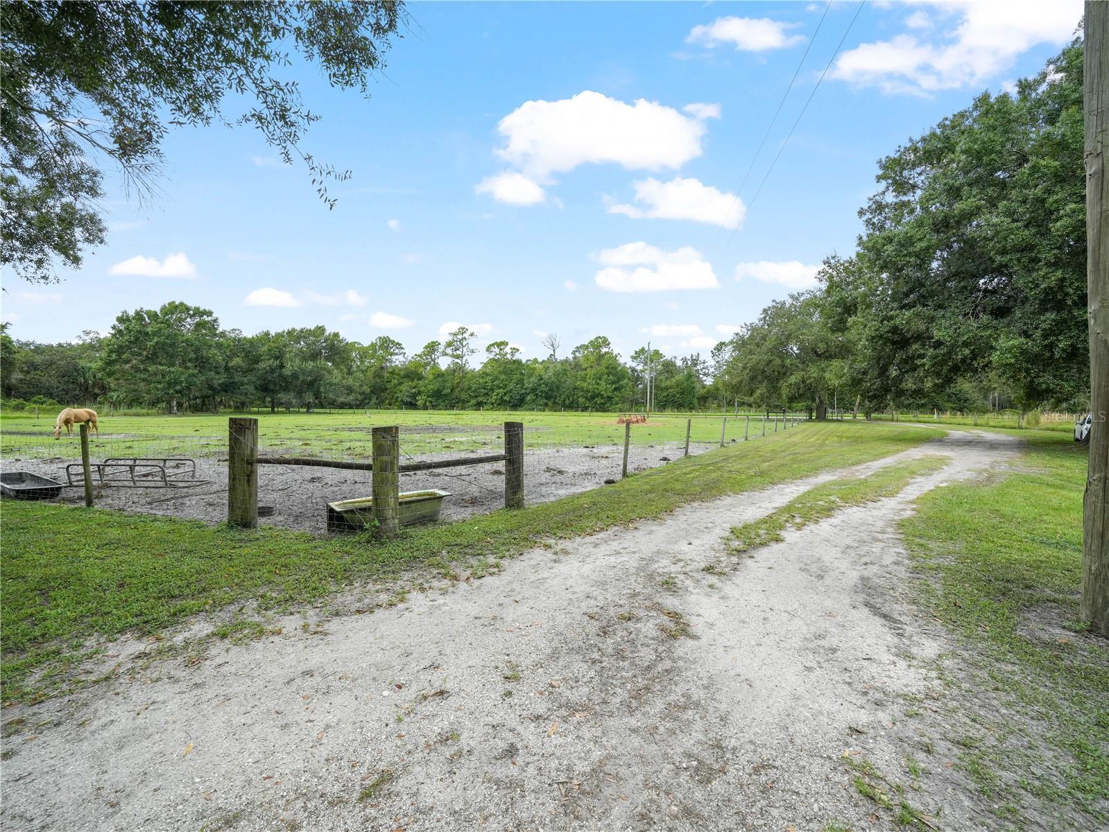 4485 MURPHY RD, ONA, FL, 33865