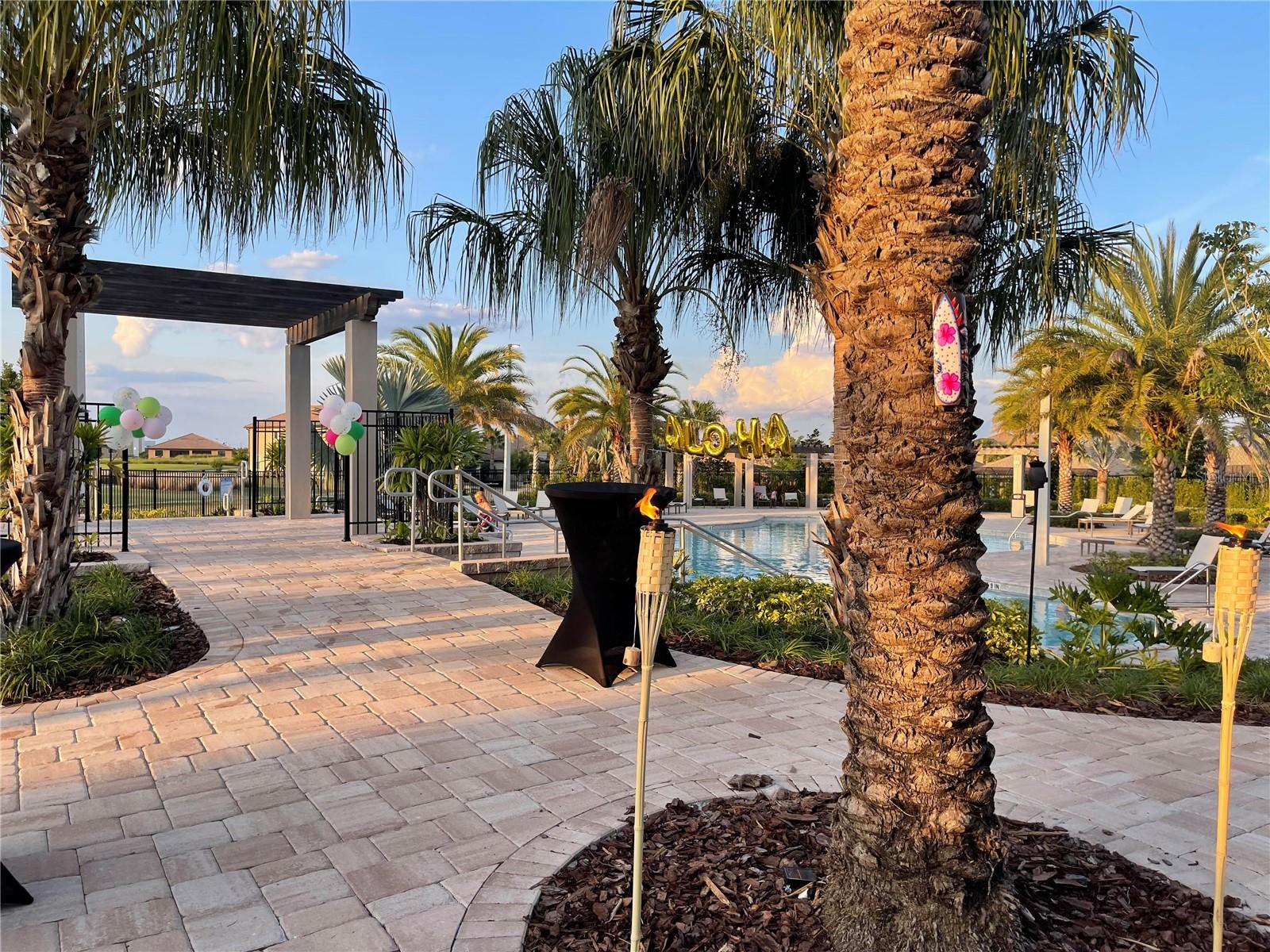 1114 BLACKWOLF RUN RD, DAVENPORT, FL, 33896