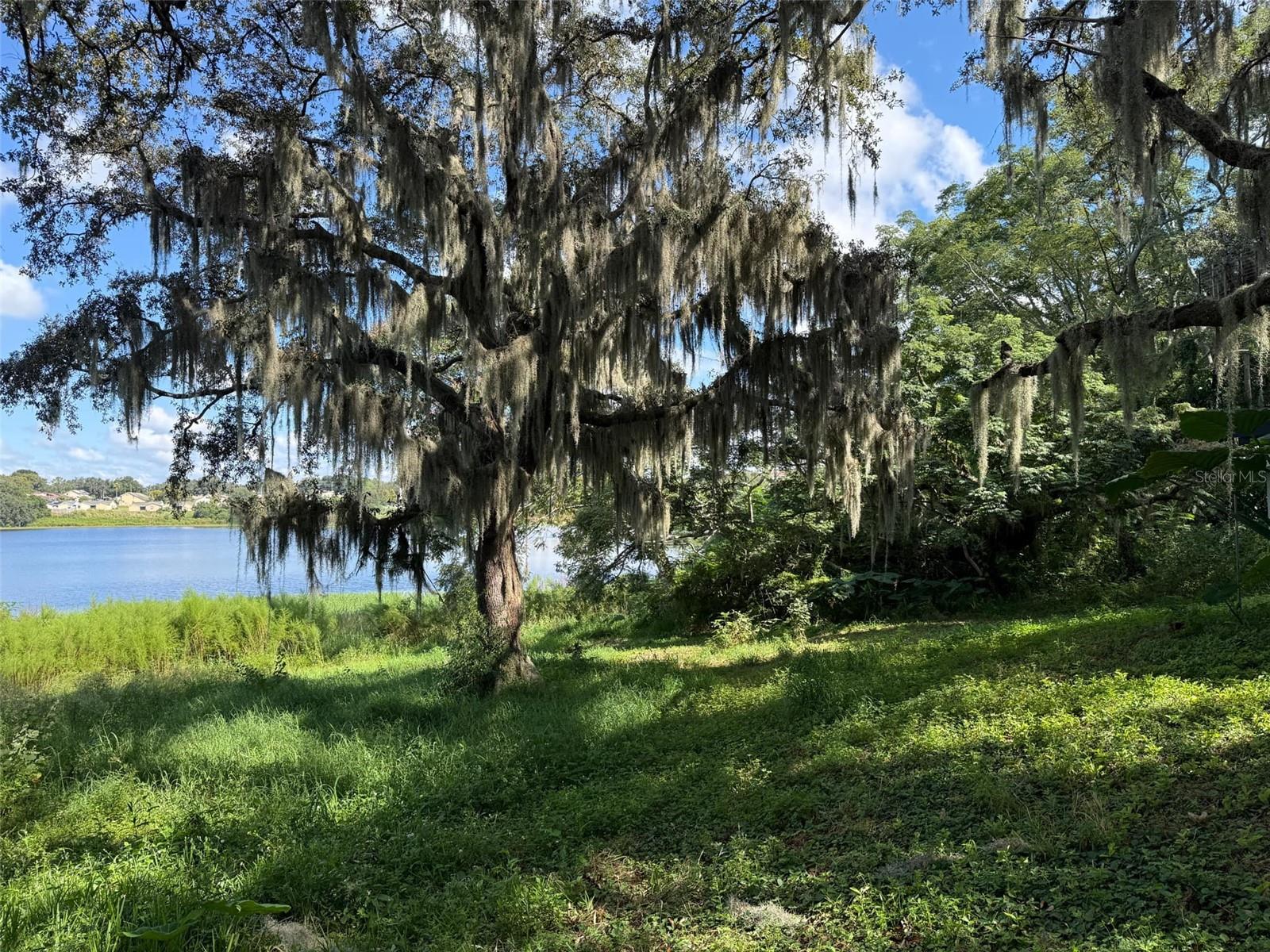 8105 W COLONIAL DR, ORLANDO, FL, 32818