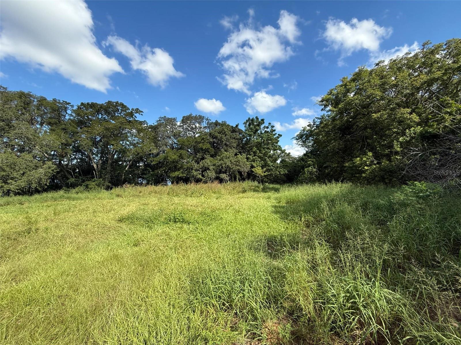 8105 W COLONIAL DR, ORLANDO, FL, 32818