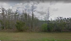 WEMBLEY AVE, ORLANDO, FL, 32833