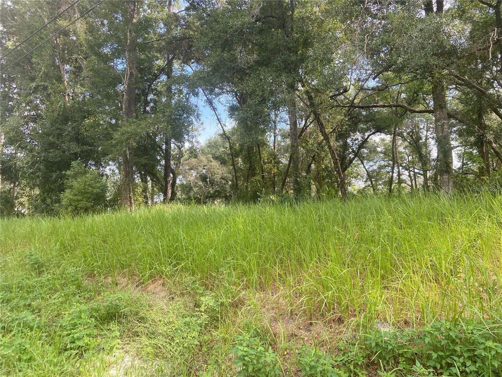 S BLUE LAKE AVE, DELAND, FL, 32724