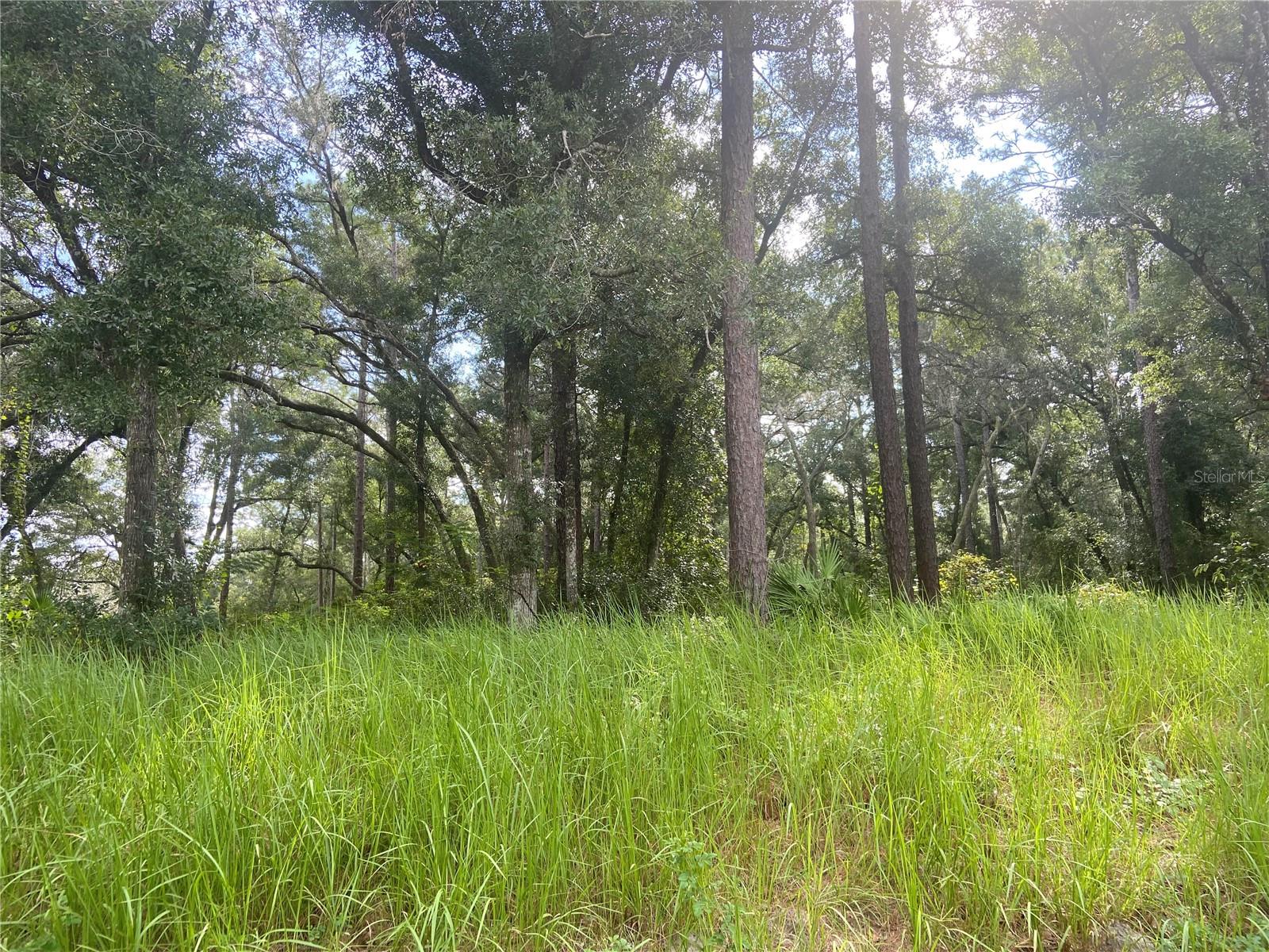 S BLUE LAKE AVE, DELAND, FL, 32724
