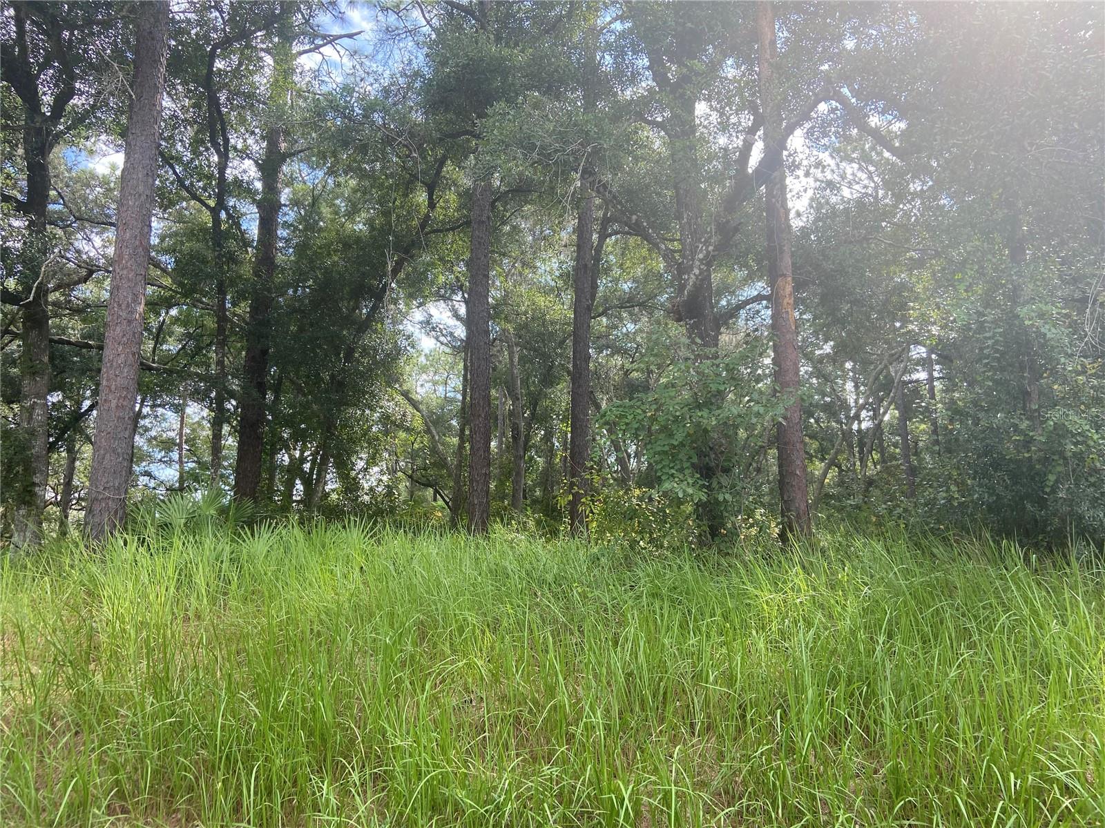 S BLUE LAKE AVE, DELAND, FL, 32724