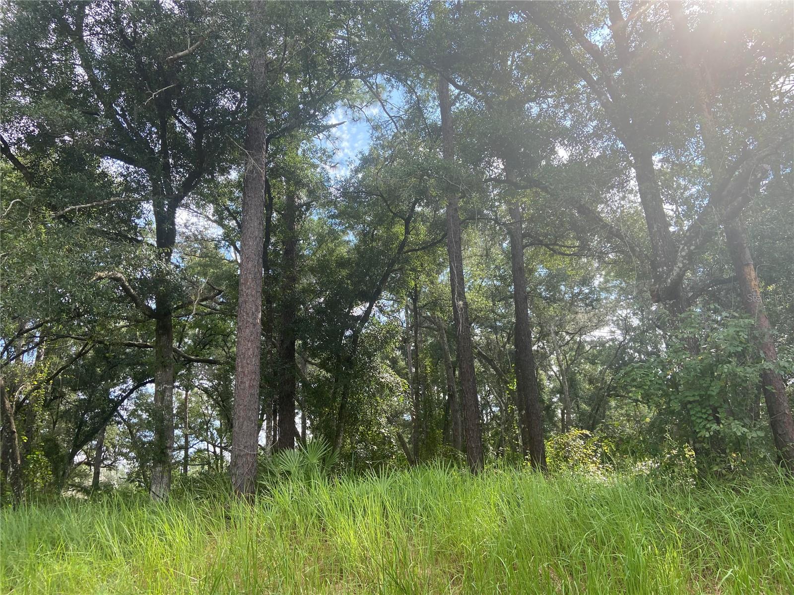 S BLUE LAKE AVE, DELAND, FL, 32724