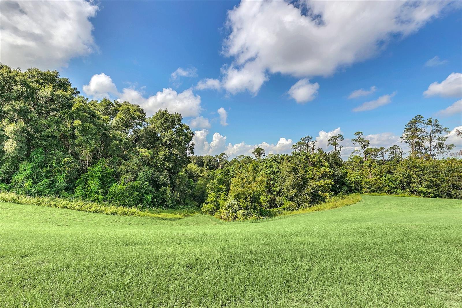 622 GLENFIELD CT, APOPKA, FL, 32712
