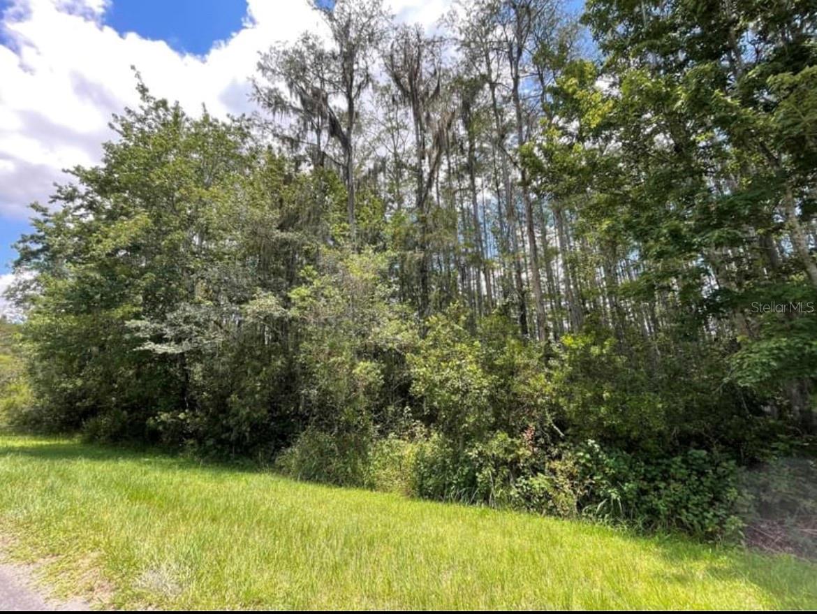 OBERLY PKWY, ORLANDO, FL, 32833