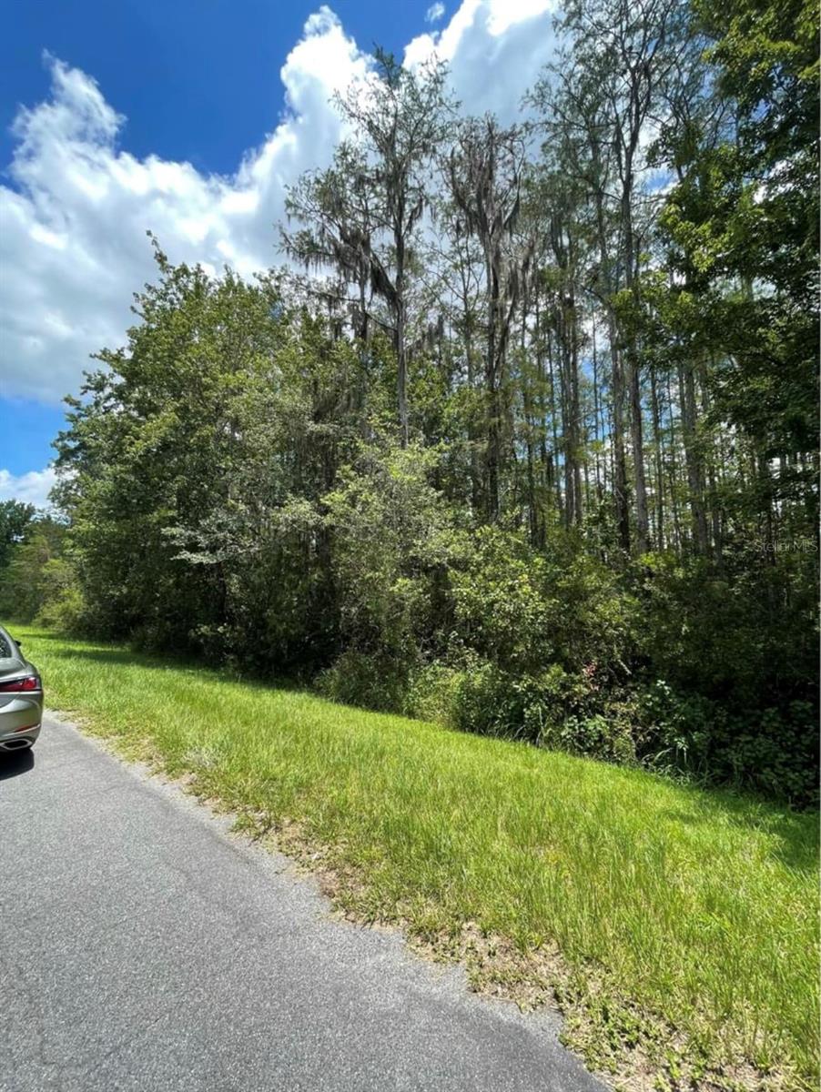 OBERLY PKWY, ORLANDO, FL, 32833