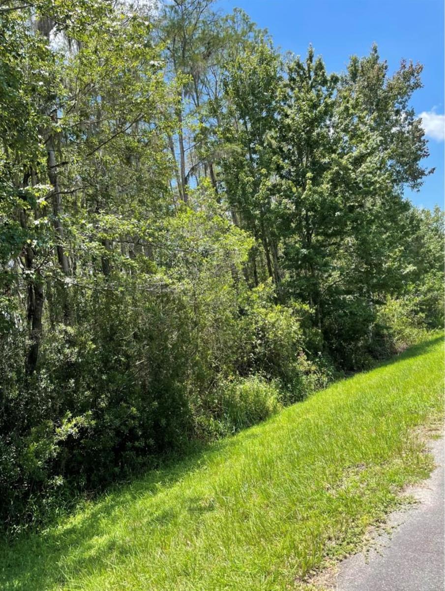 OBERLY PKWY, ORLANDO, FL, 32833