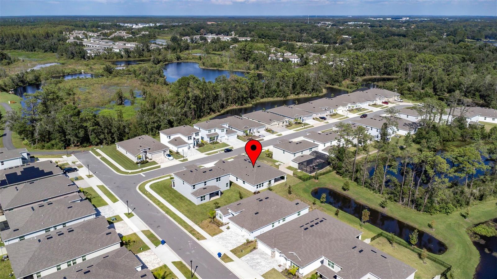 23176 PACHINO WAY, LUTZ, FL, 33549