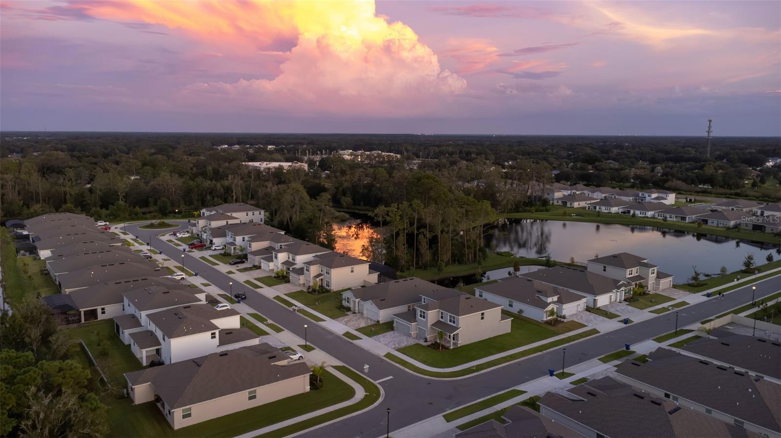 23176 PACHINO WAY, LUTZ, FL, 33549
