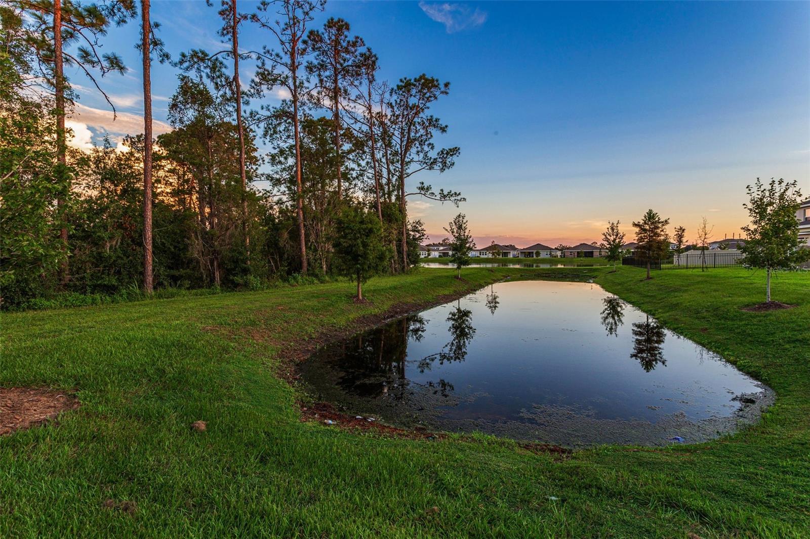 23176 PACHINO WAY, LUTZ, FL, 33549