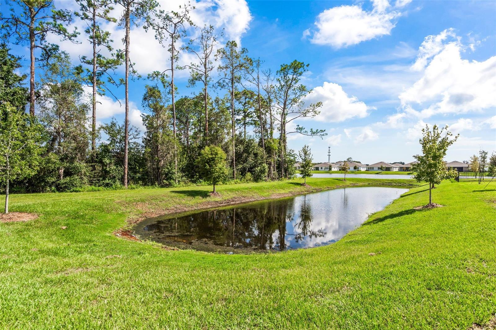 23176 PACHINO WAY, LUTZ, FL, 33549