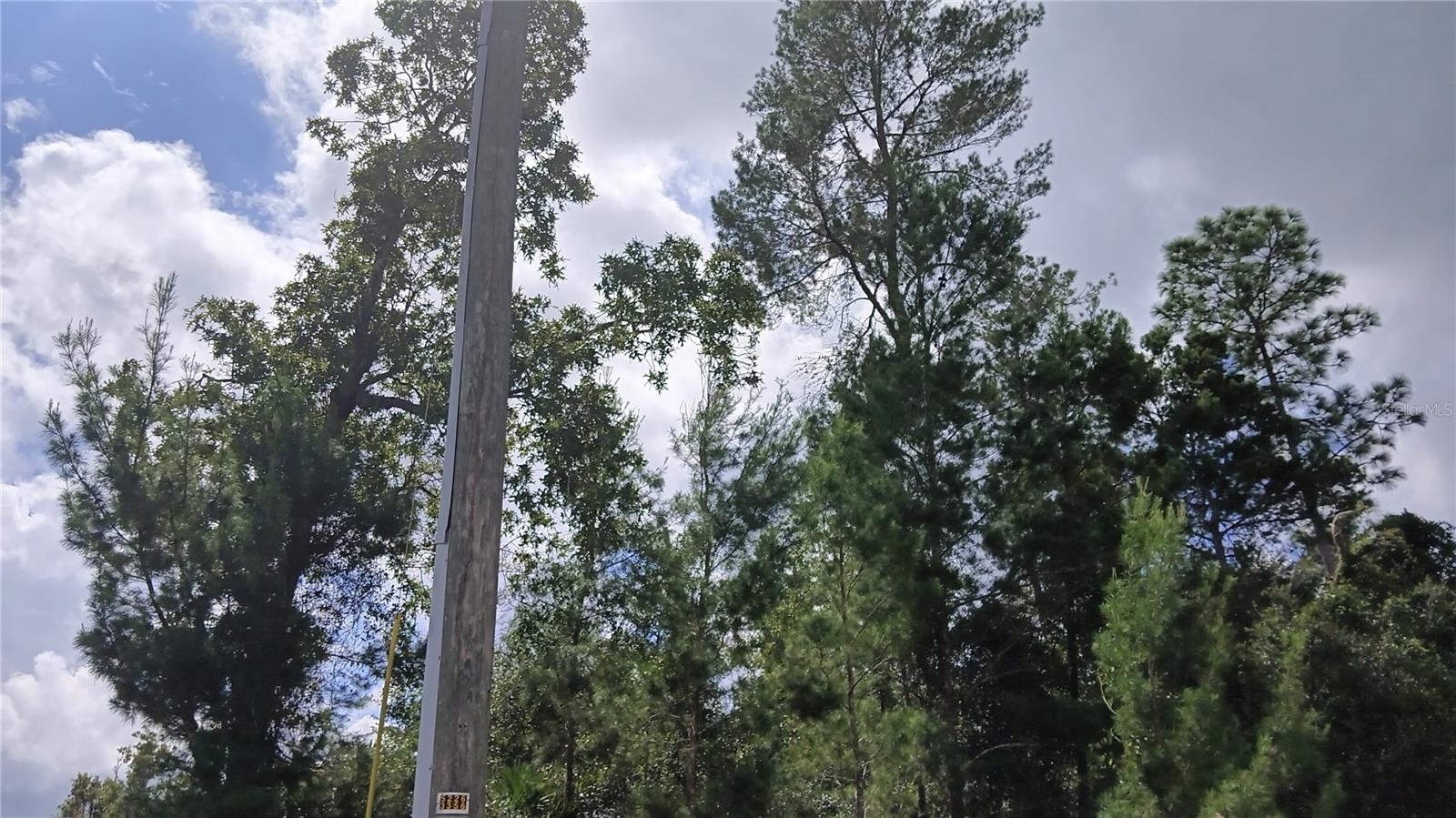 13014 HANLEY DR, SPRING HILL, FL, 34609