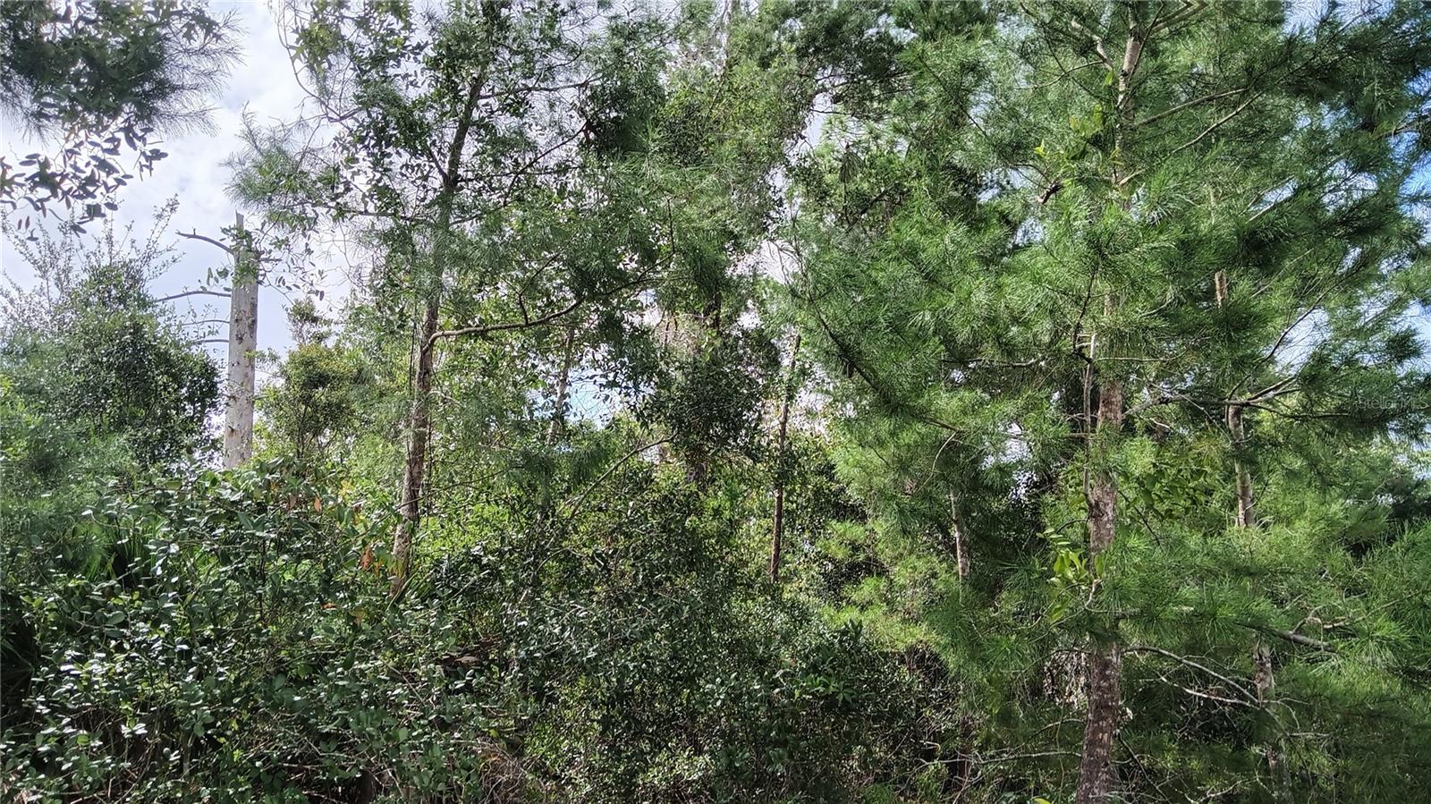 13014 HANLEY DR, SPRING HILL, FL, 34609