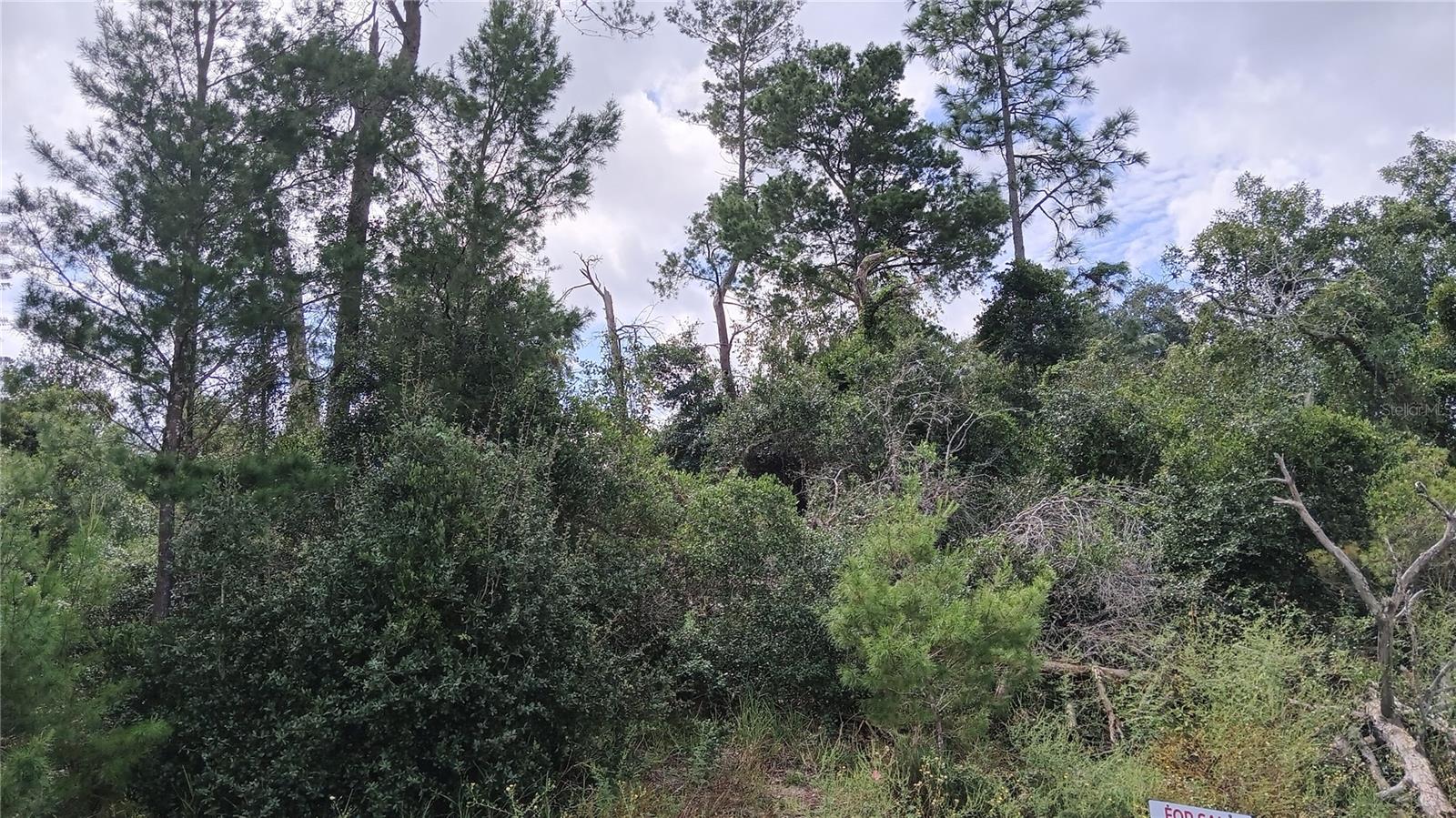 13014 HANLEY DR, SPRING HILL, FL, 34609