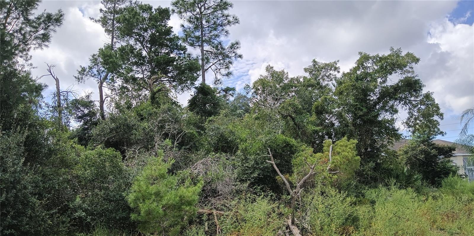 13014 HANLEY DR, SPRING HILL, FL, 34609