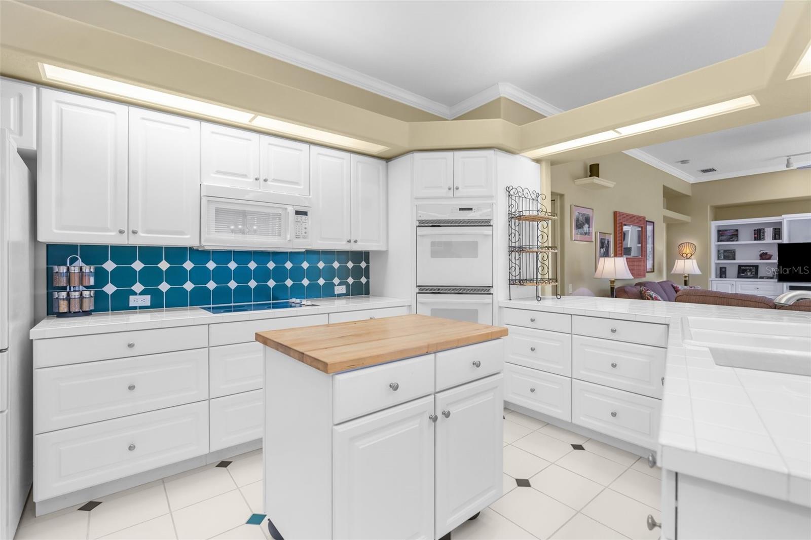 9208 TARLETON CIR, WEEKI WACHEE, FL, 34613