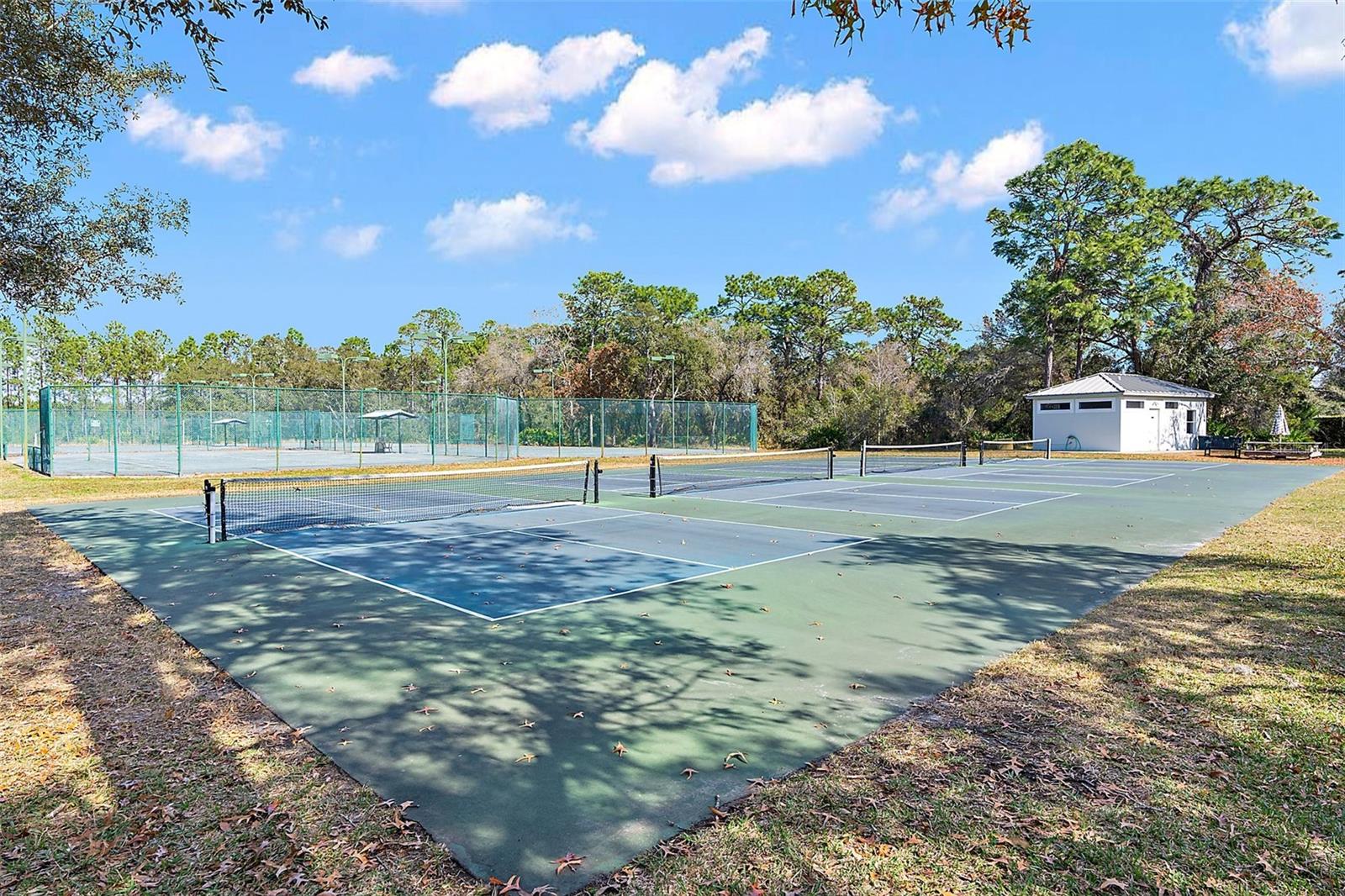 9208 TARLETON CIR, WEEKI WACHEE, FL, 34613