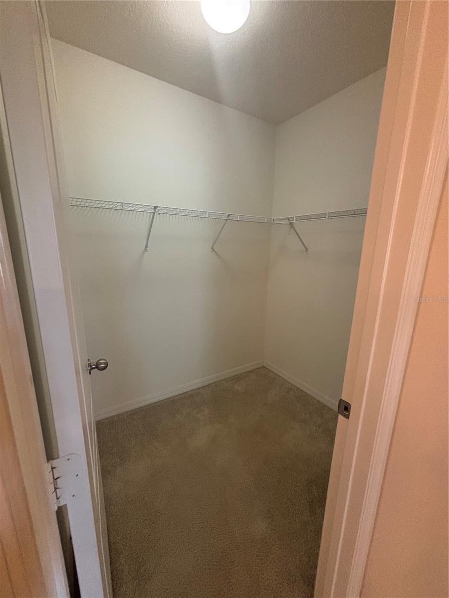 3146 QUEEN ALEXANDRIA, KISSIMMEE, FL, 34744
