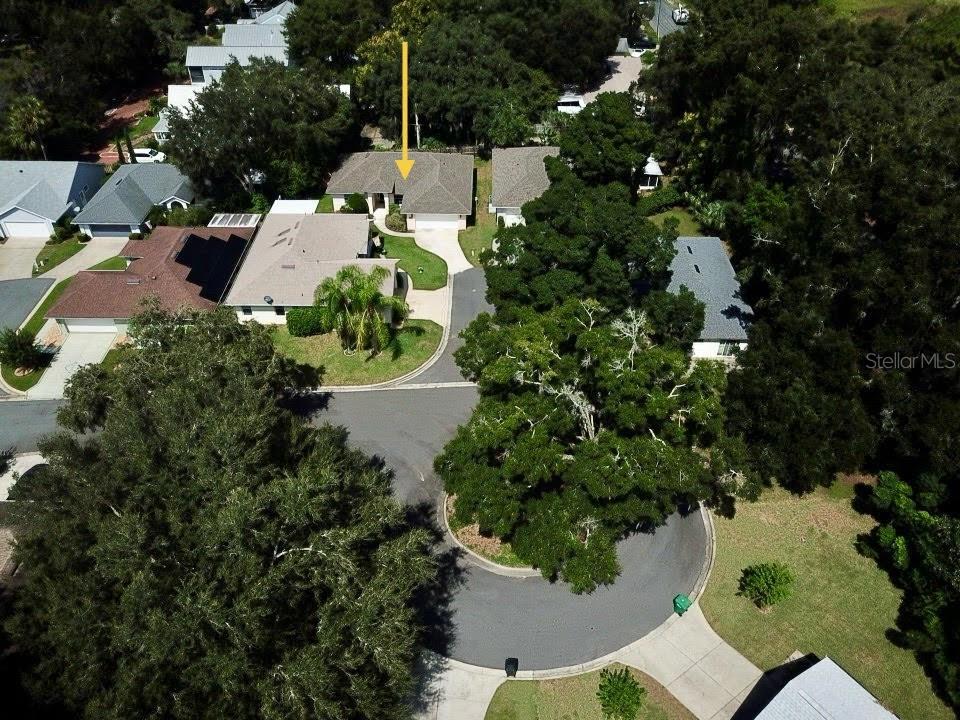 611 HURON PL, MOUNT DORA, FL, 32757