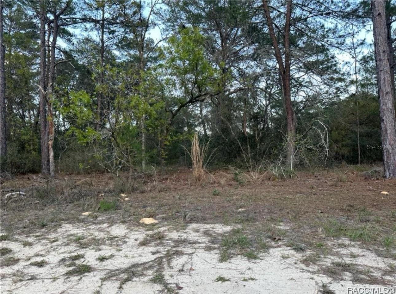 2710 HILLERY ST, INVERNESS, FL, 34452