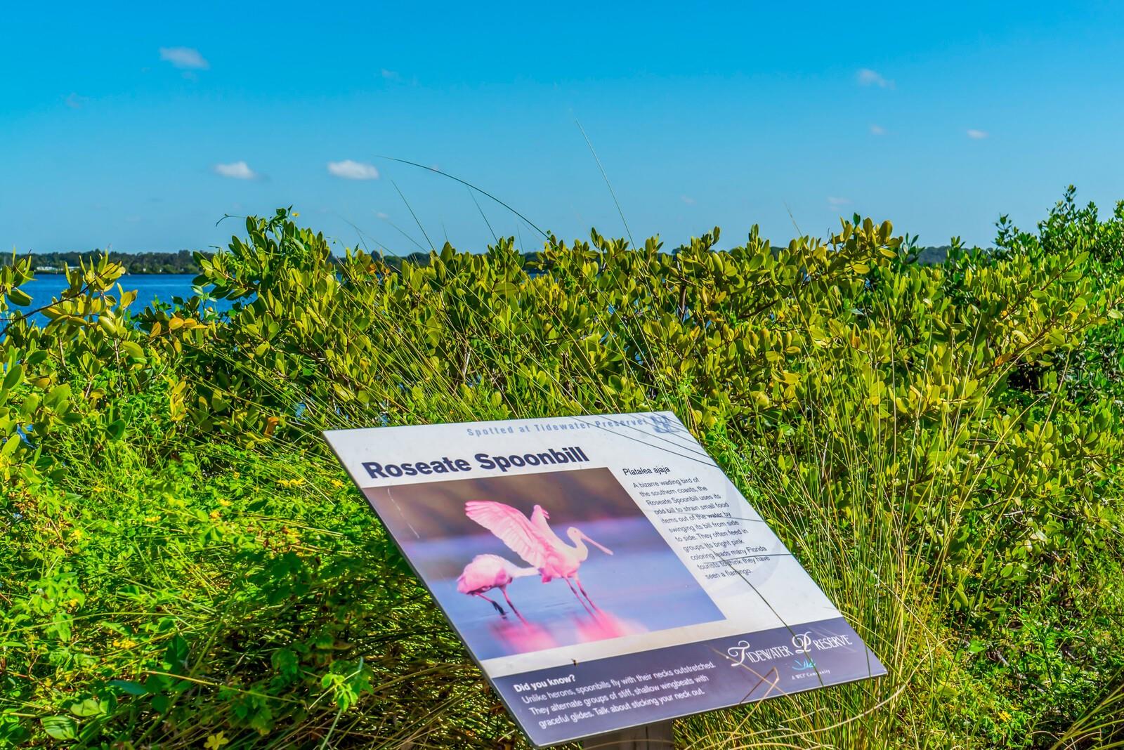 1123 RIVERSCAPE ST #D, BRADENTON, FL, 34208